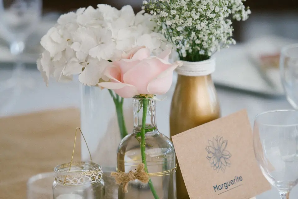 Cocotte et Coquette — photo 5