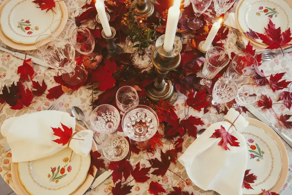 Cocotte et Coquette — photo 7