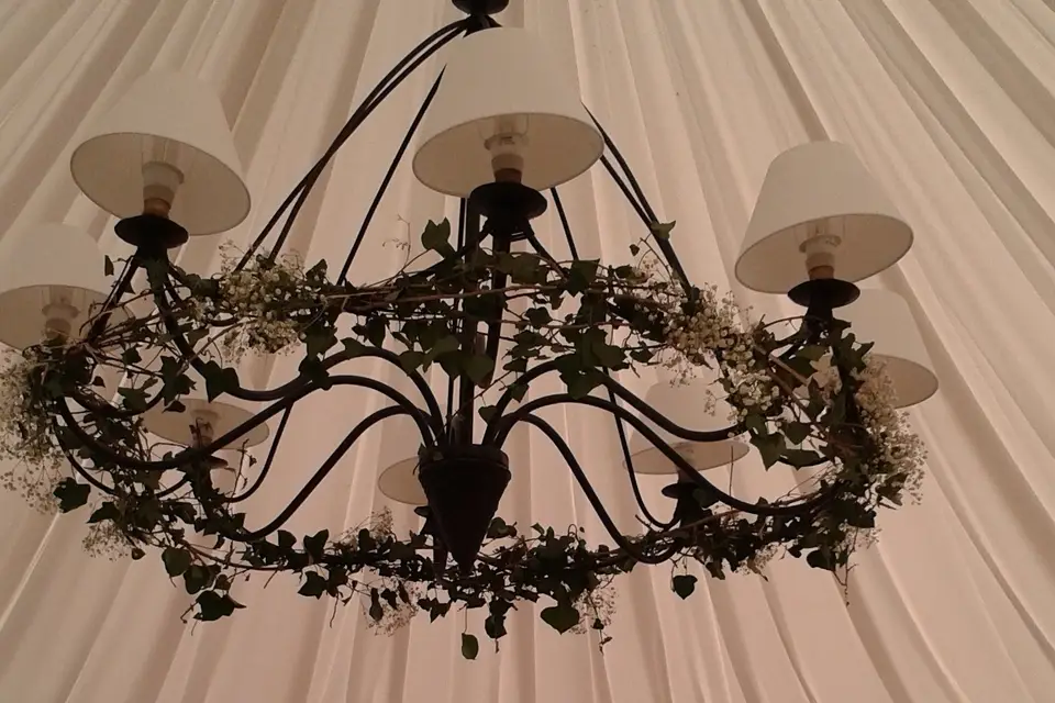 Mireille Fleurs et Nature — photo 5