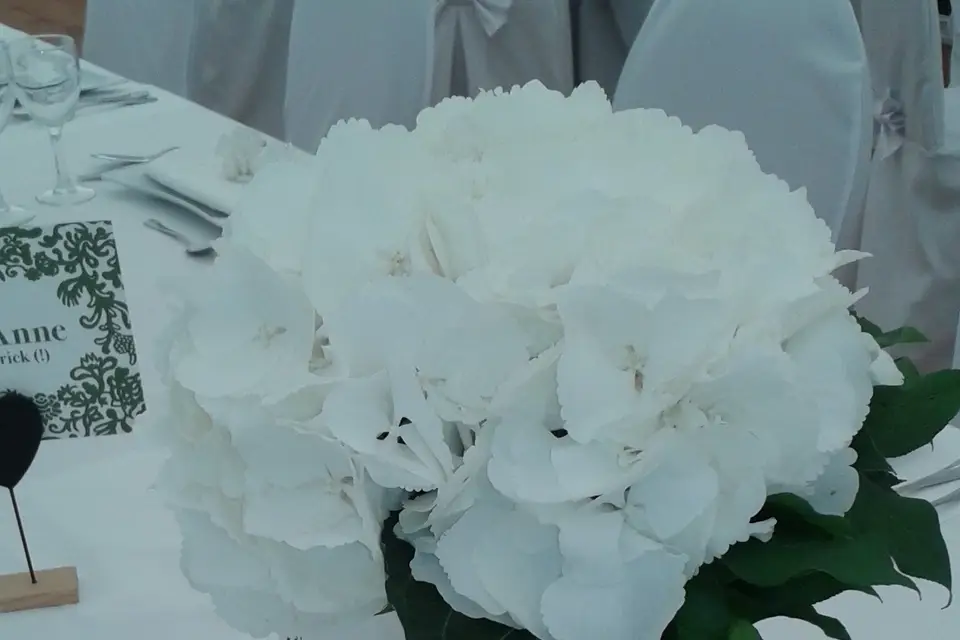 Mireille Fleurs et Nature — photo 7