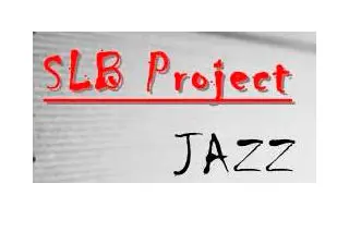 SLB Project — photo 5