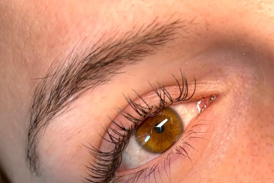 Beauté Des Cils — photo 2