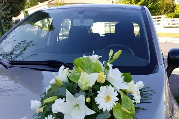 Fleuriste L’Évidence — photo 2