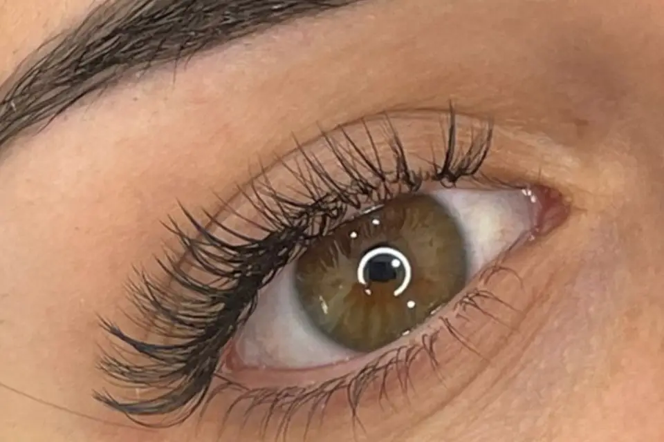 Beauté Des Cils