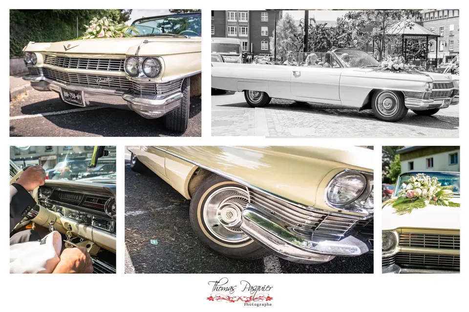 Thomas Photography — photo 3