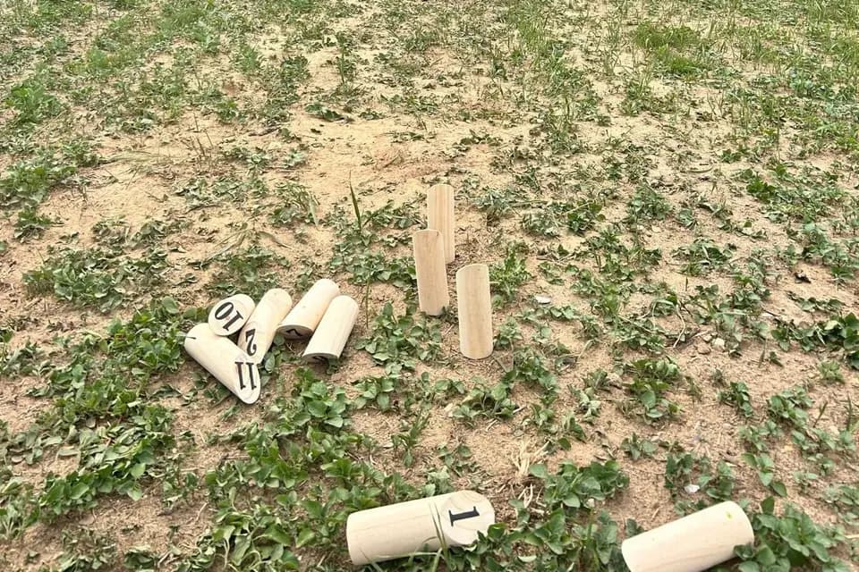 Petit Papillon — photo 6