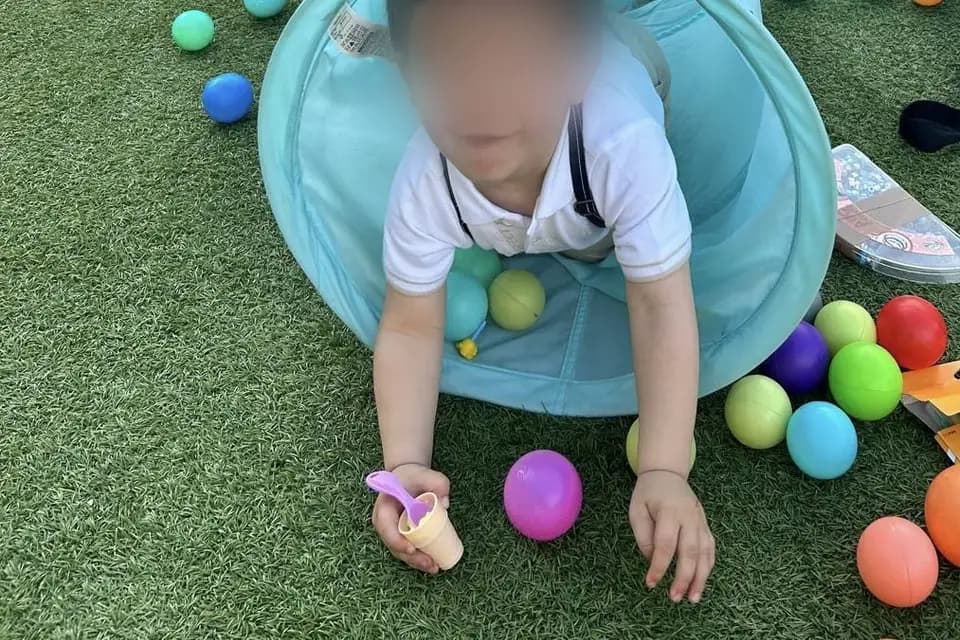 Petit Papillon — photo 2