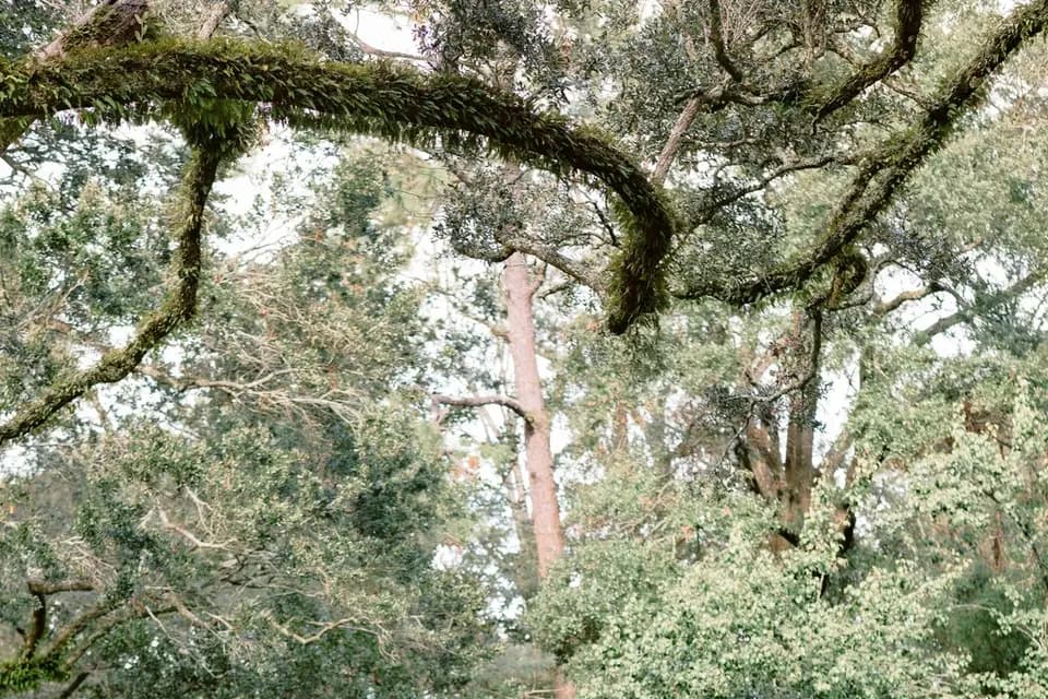 Domaine d’Uza — photo 7