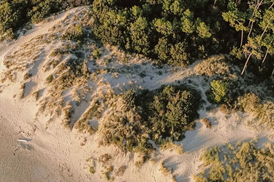 Le Petit Poucet — photo 6