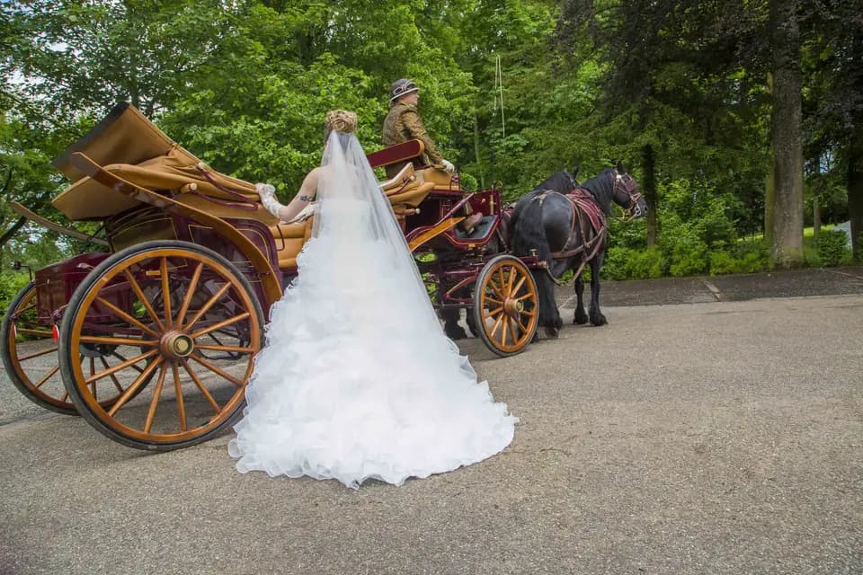 XBDesign — photo 6