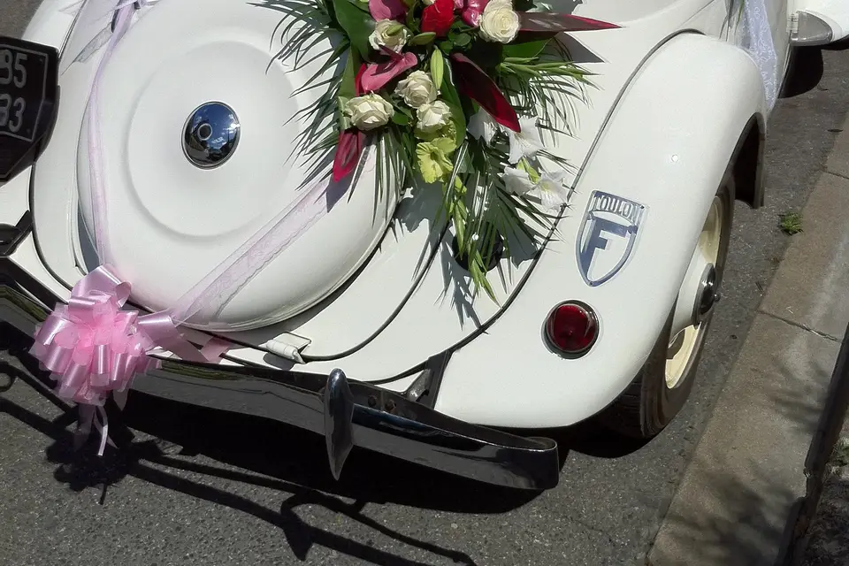 Jcp Retro — photo 4