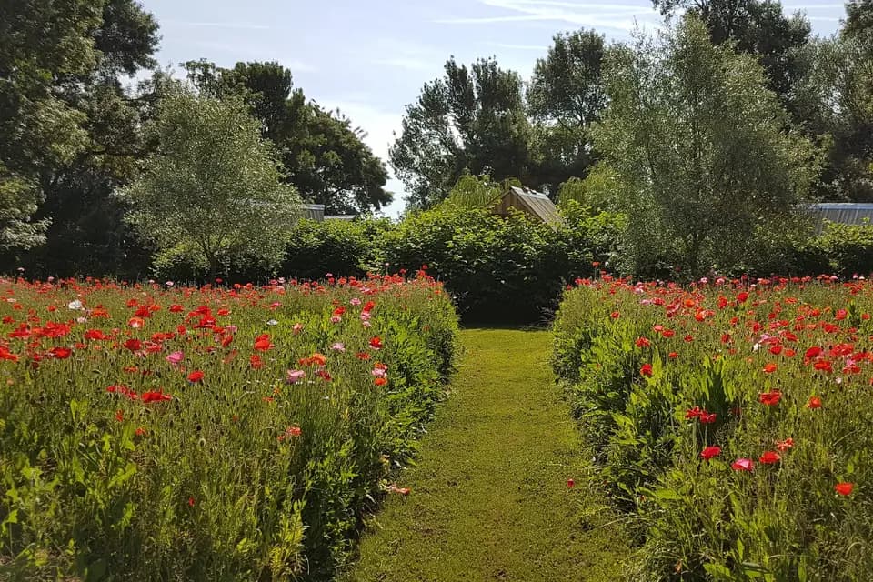 La Racaudière — photo 6