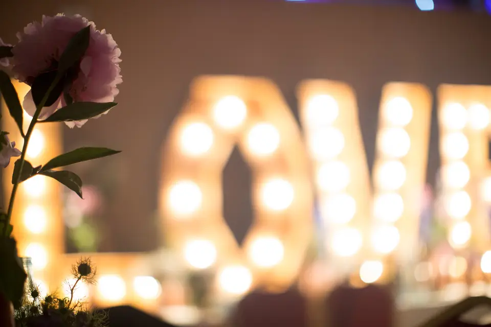 Love Lights — photo 2