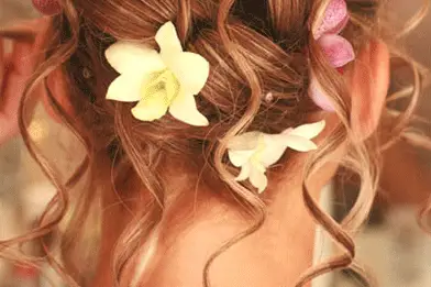 Chrisland — photo 4