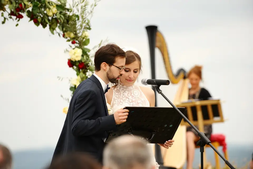 Claire Duchateau, Harpiste — photo 4