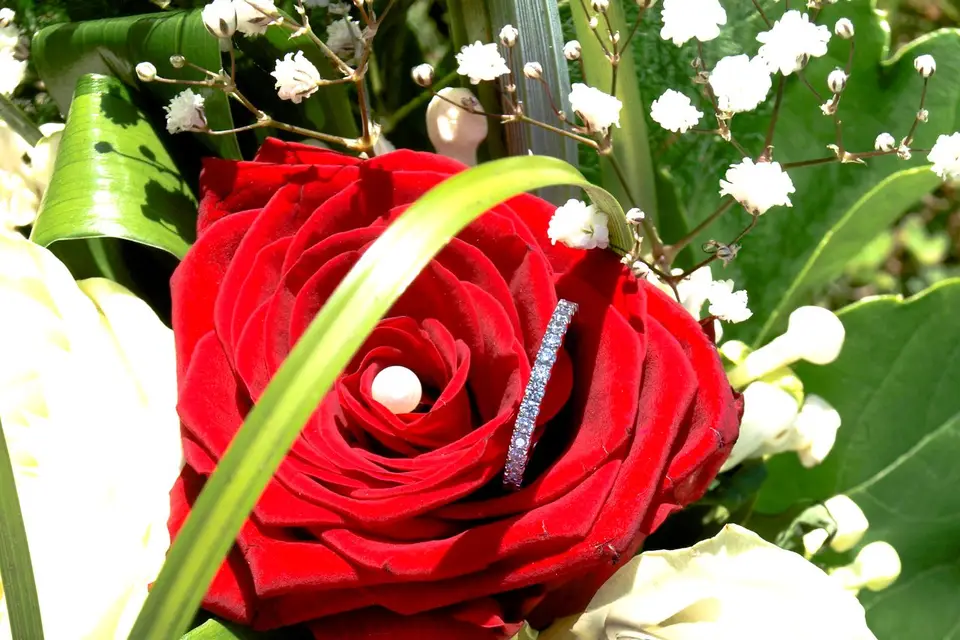 Simpl'emant — photo 3