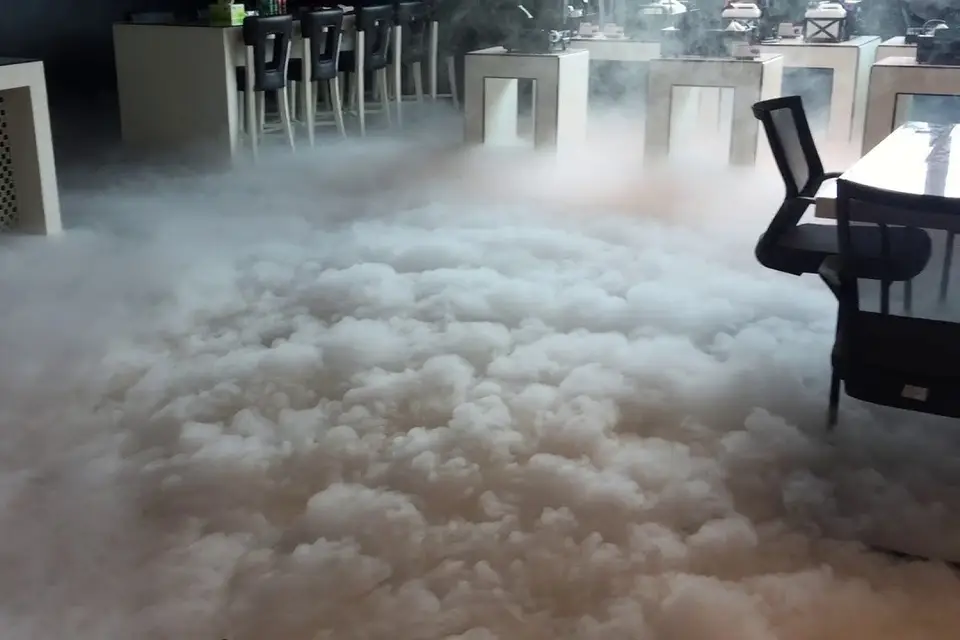 Sono Music — photo 5