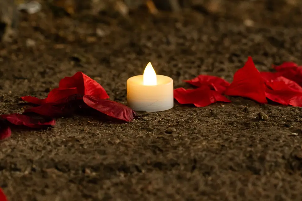 Sixcent Films — photo 3