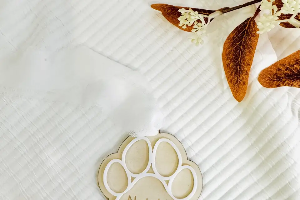 Atelier Fyde — photo 2