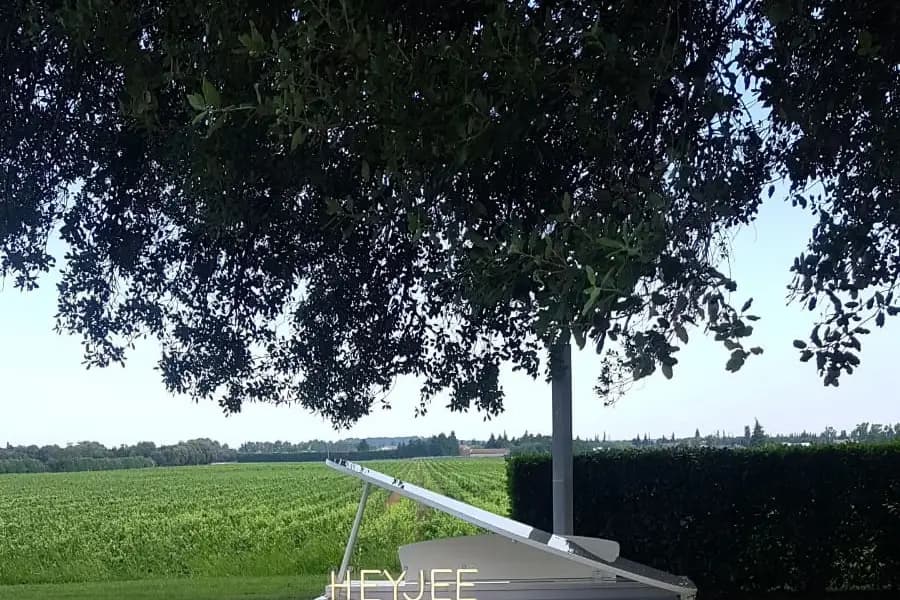 Alliance Magique — photo 5