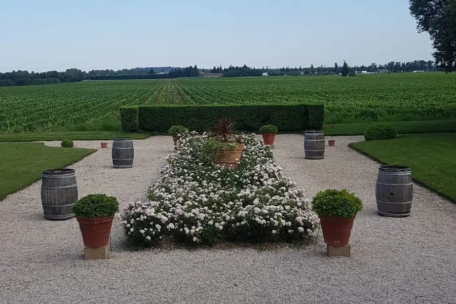 Alliance Magique — photo 3