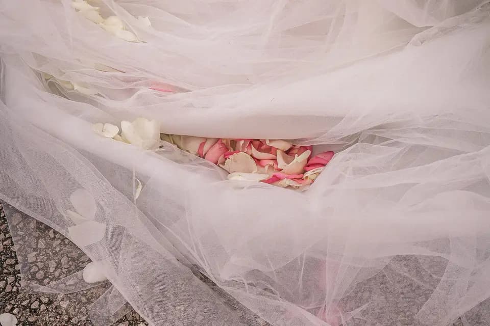 Alliance Magique — photo 6