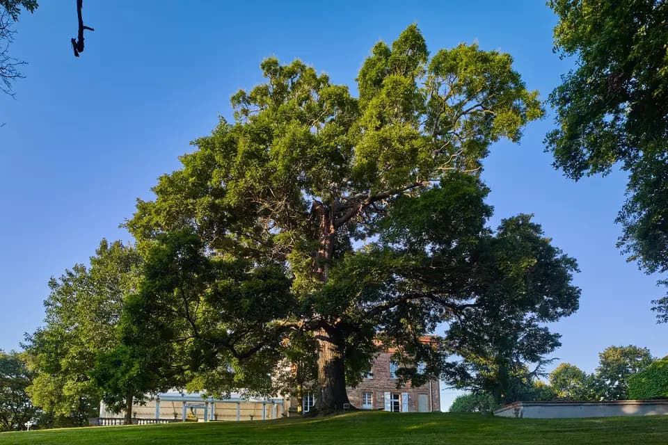 Château Lartus — photo 6