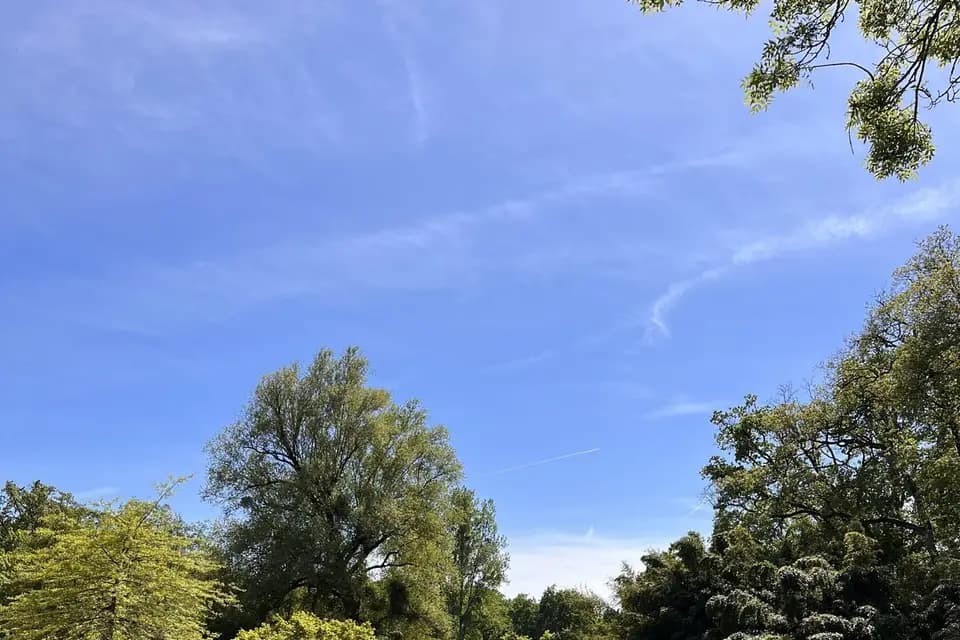 Parc de la Belle — photo 5