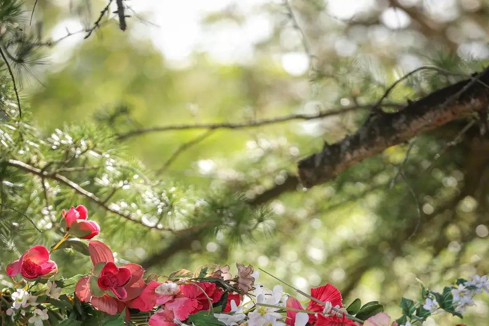 Judith's Art — photo 6