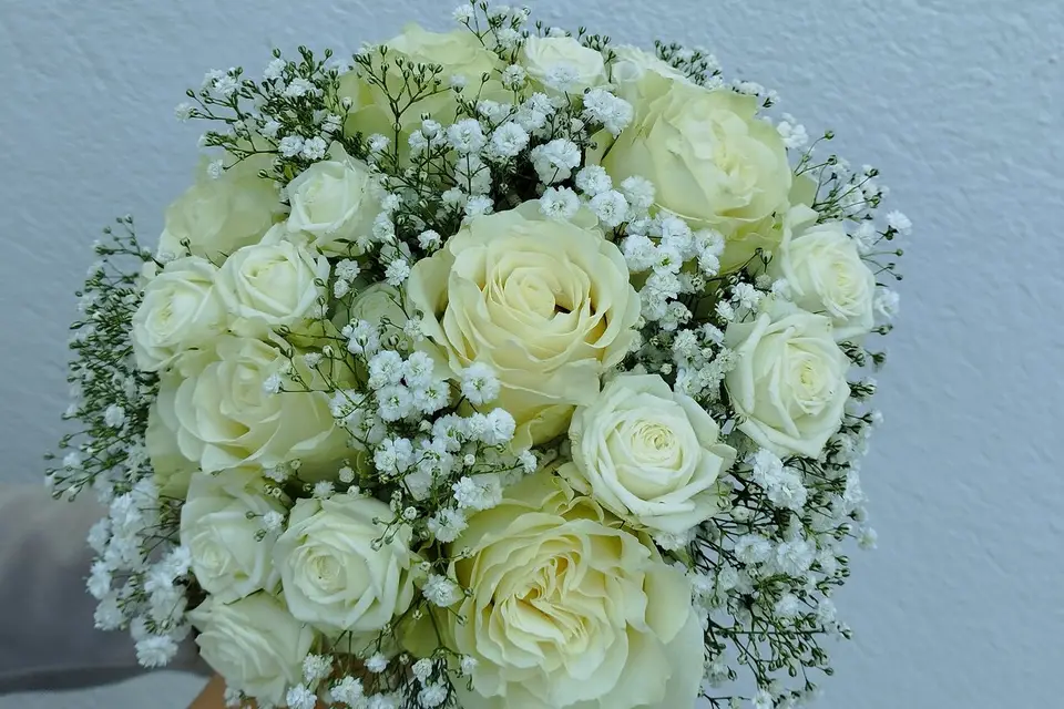 Atelier Canopée — photo 6