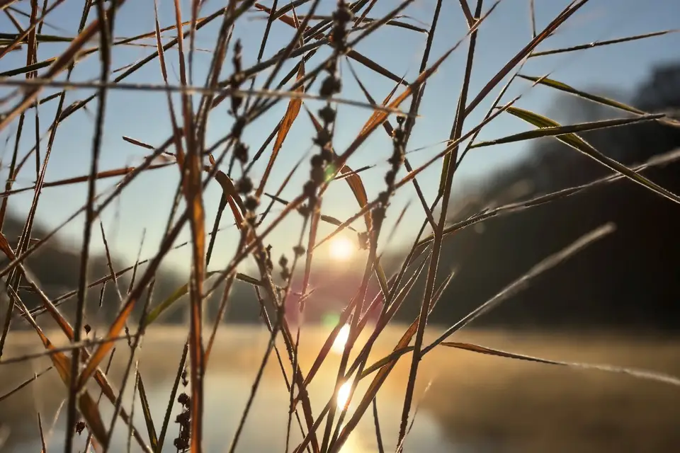 Moulin des Onze Fontaines — photo 1