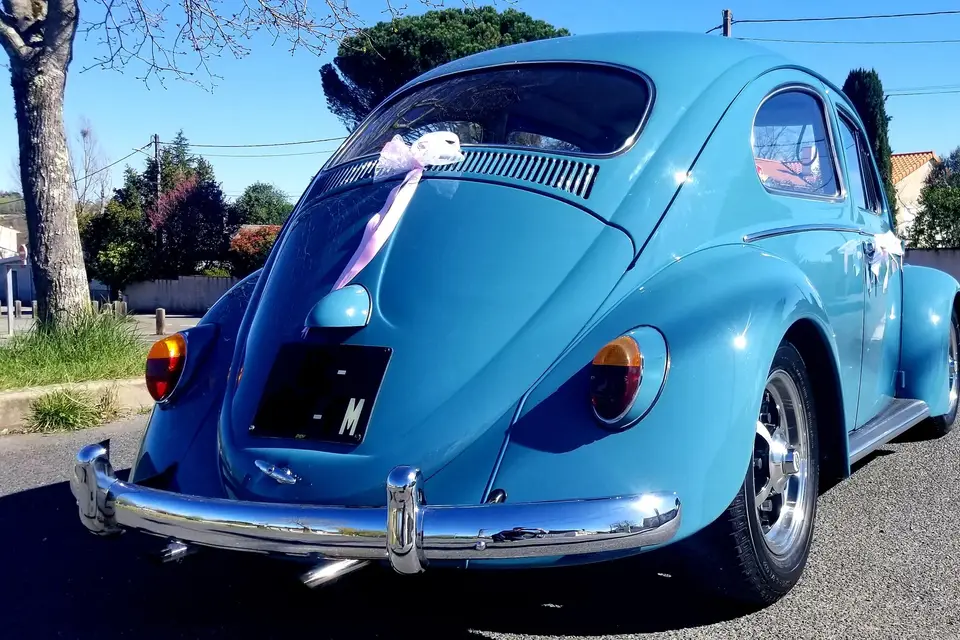 Laurent M. — photo 2