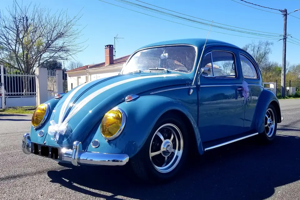 Laurent M. — photo 3