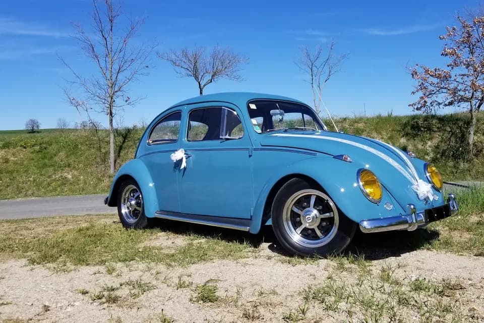 Laurent M. — photo 7