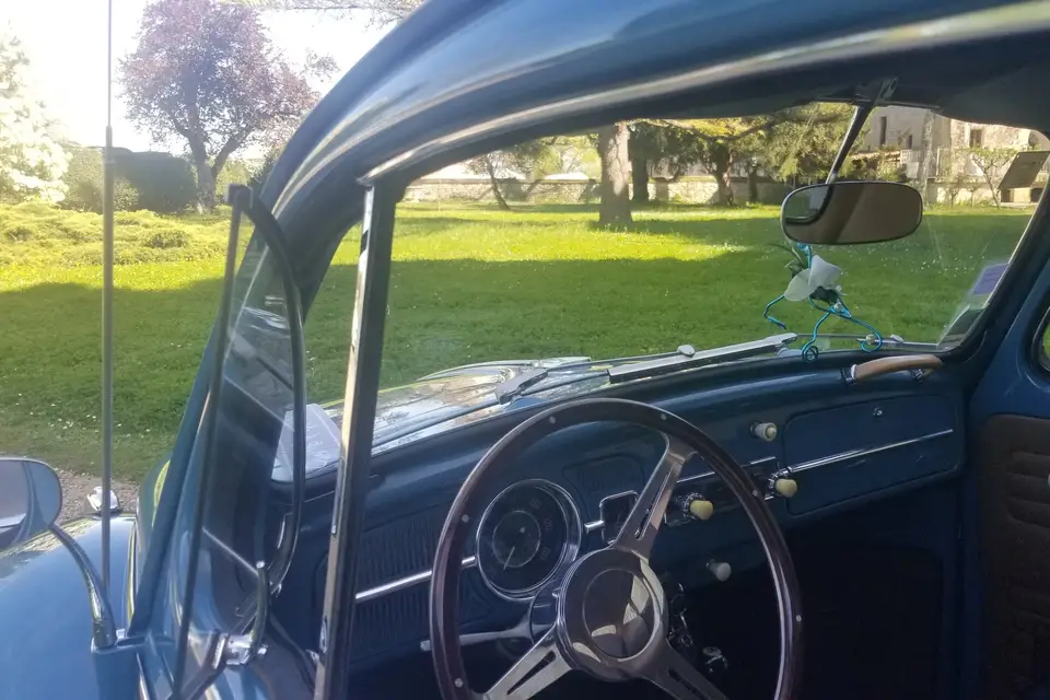 Laurent M. — photo 6