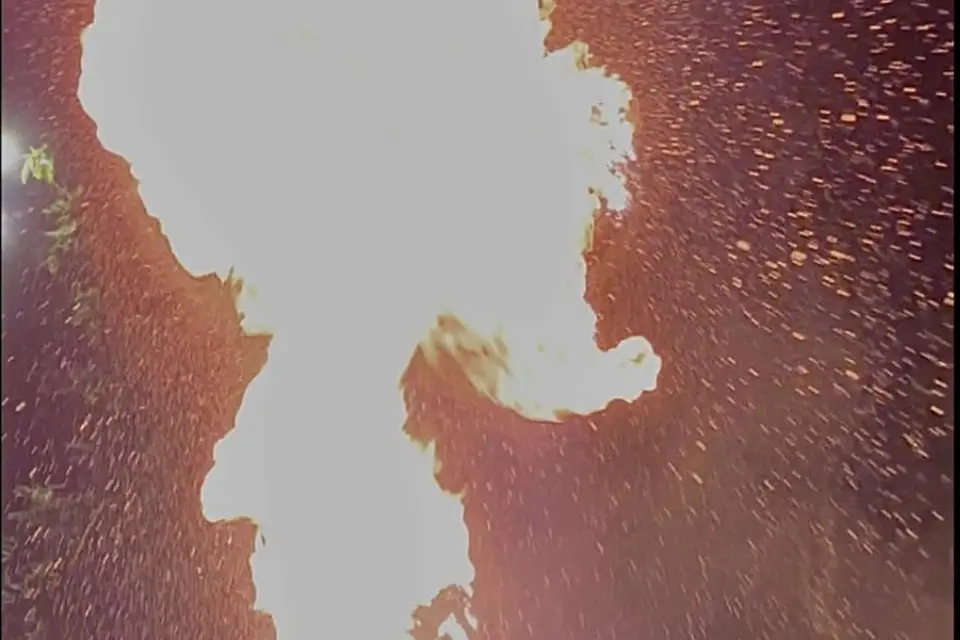 Event Show — photo 8