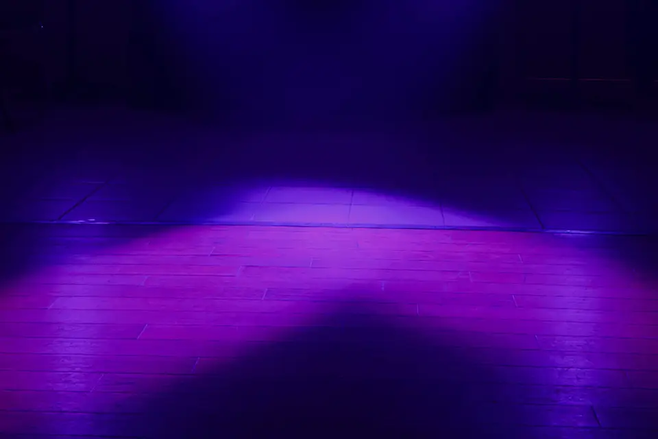 AMS Agency Occitanie — photo 2