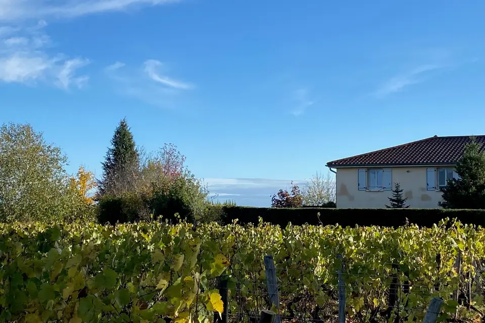 Domaine de la Noiseraie — photo 6