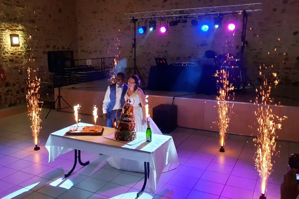 Musiclight — photo 3