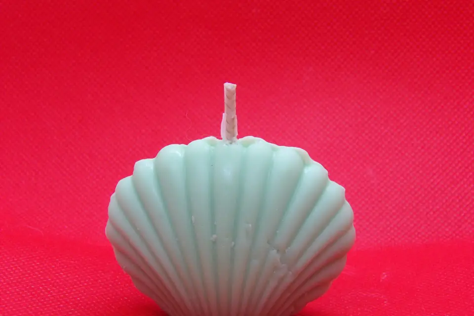 Senteurs Végétales — photo 6