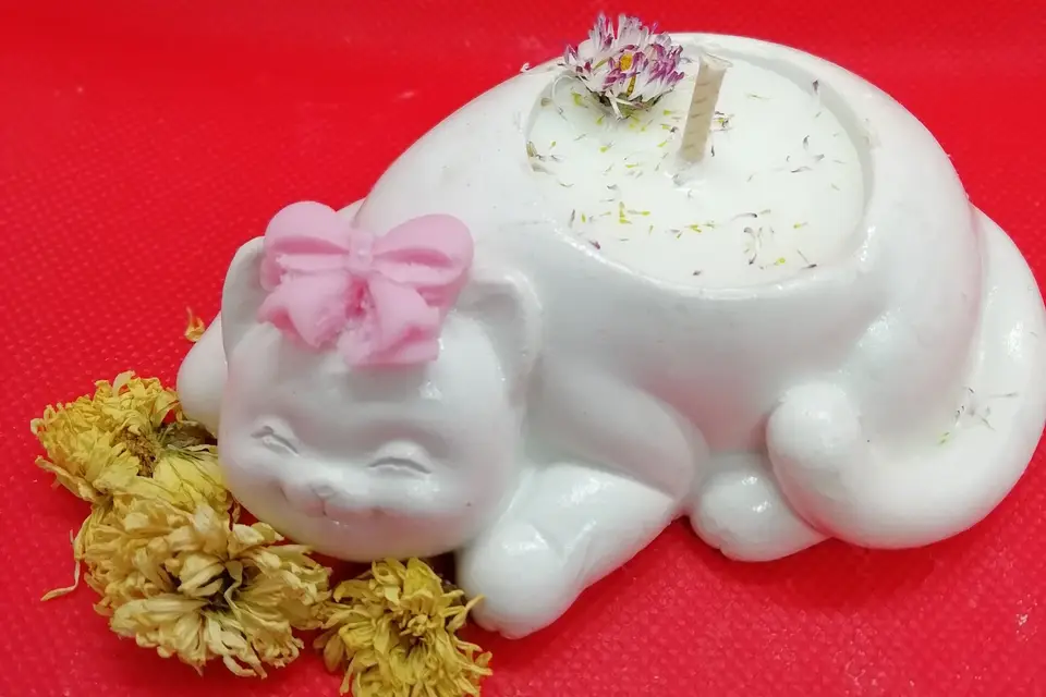 Senteurs Végétales — photo 4