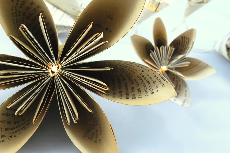 Pli Renversé — photo 7