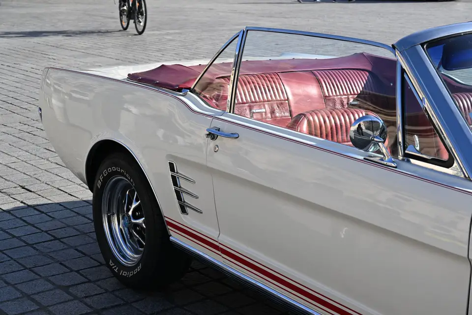 Haloban Legend — photo 8