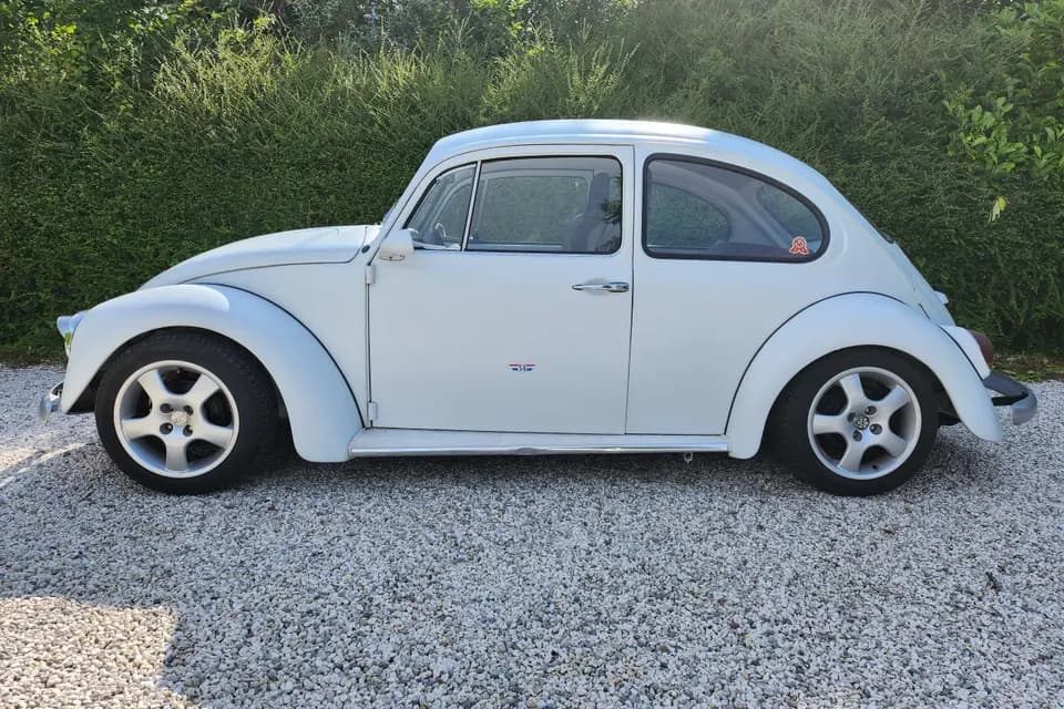 Classic Team — photo 5