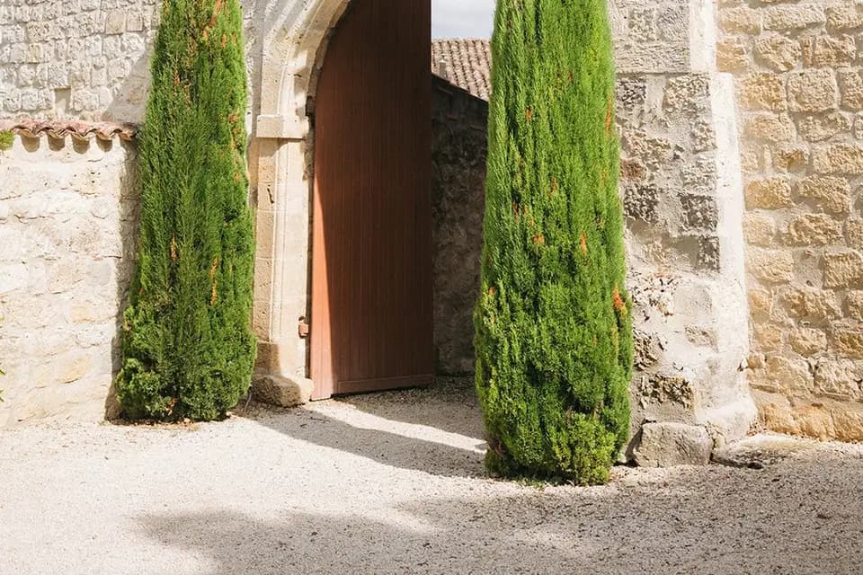 Château De Pleneselve — photo 3