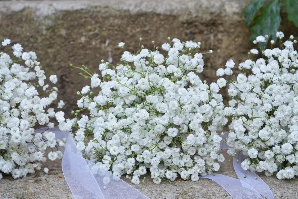 L'Entre Pots Artisan Fleuriste