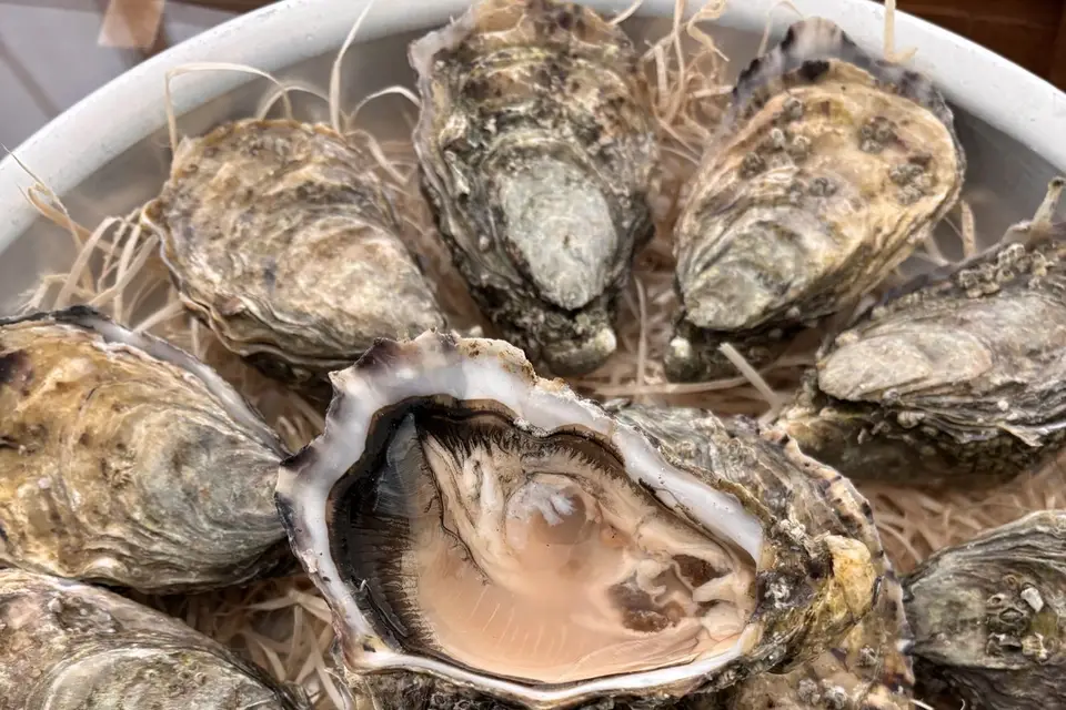 L'Huîtrier — photo 8