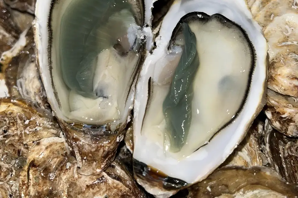 L'Huîtrier — photo 3