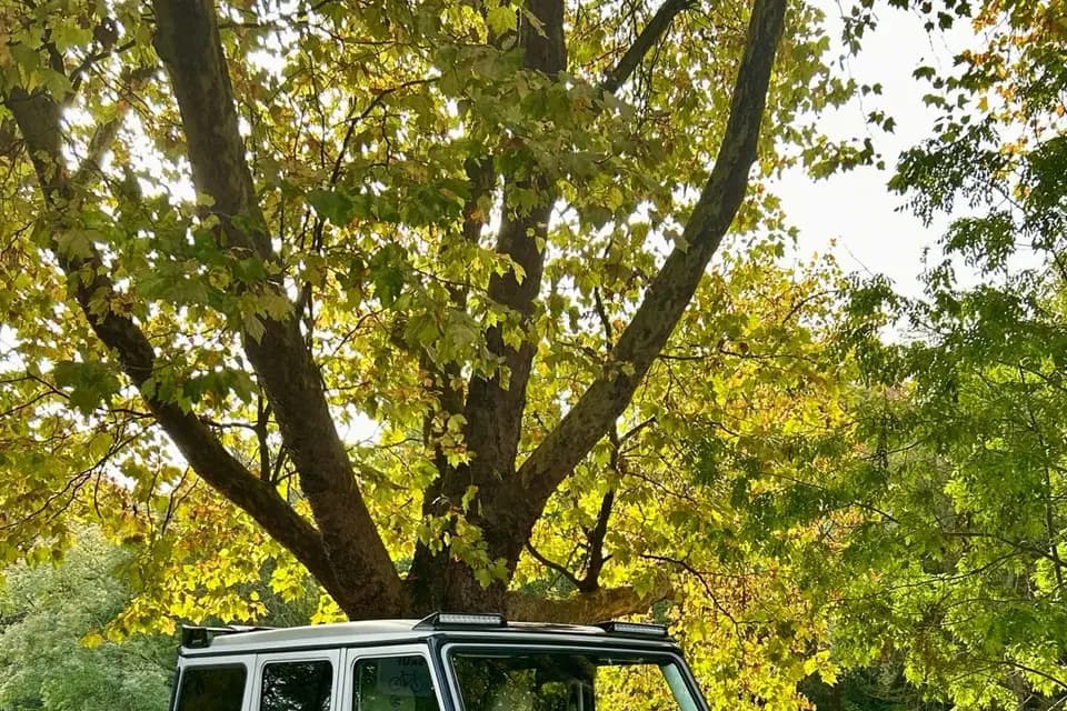 Wedding Car Paris — photo 3