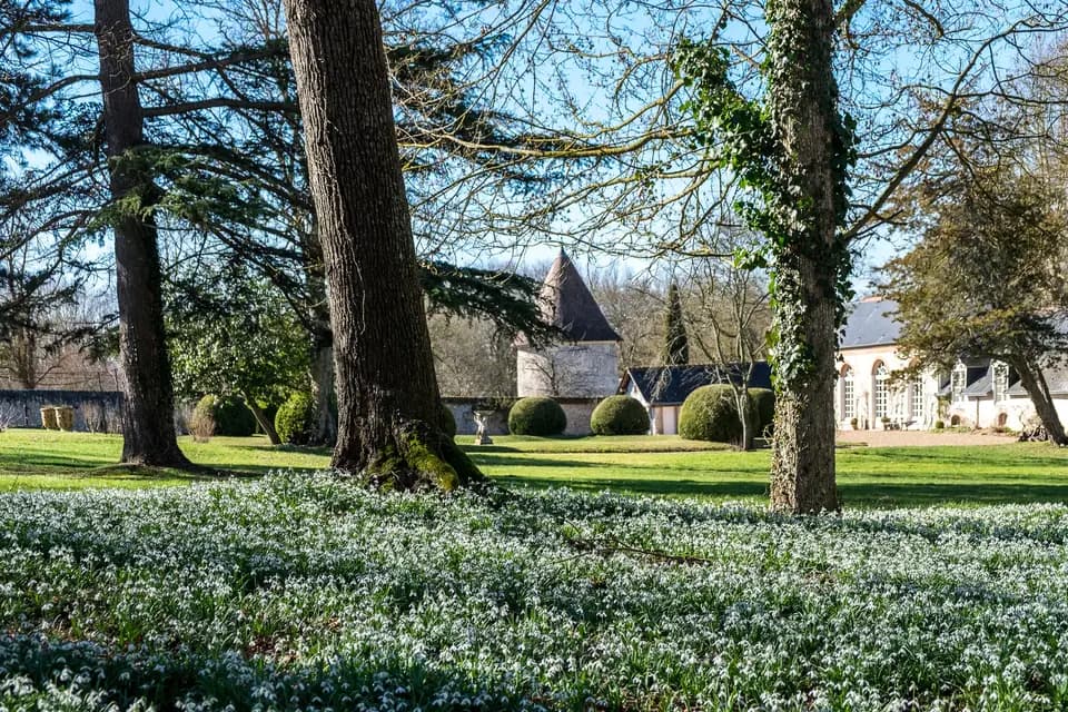 Château des Grotteaux — photo 2